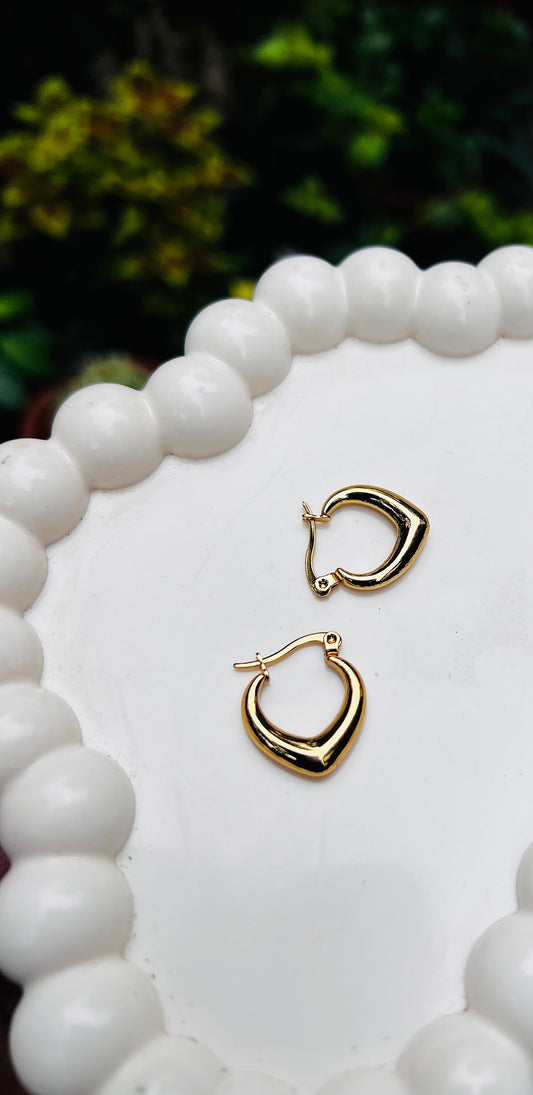 Hoop earings